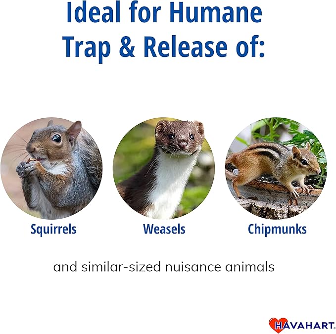 Havahart Small 1-Door Humane Live Catch and Release Animal Trap for Squirrels Weasels Chipmunks and Other Animals - Humane Catch and Release for Small Animals - 1026