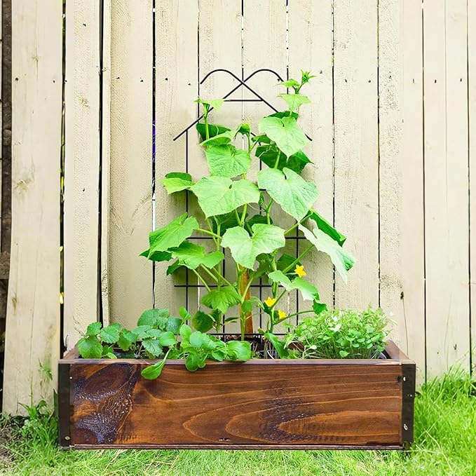 Garden Trellis Vine Stand - 20.47inch Tall Outdoor Trellisfor Indoor Doorway Gate Cucumber Tomato Vine Rose Monstera Pothos