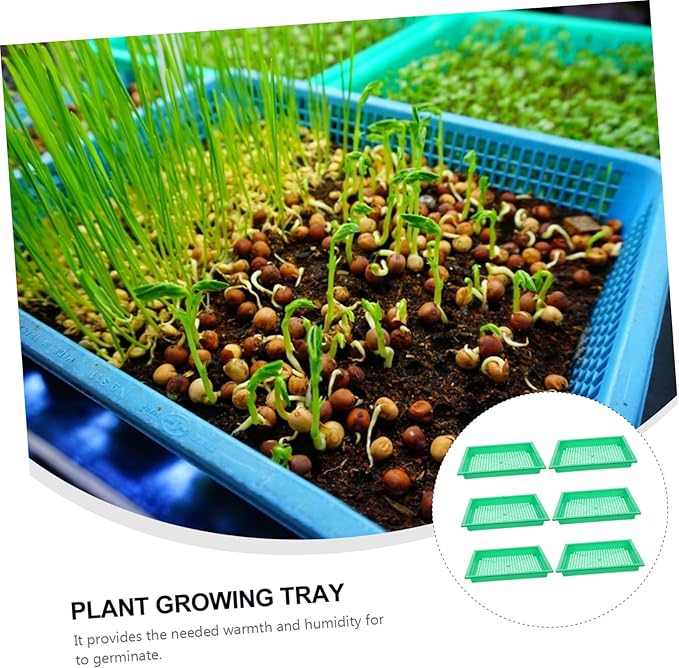 6pcs Miaopan Plant Growing Starter Multi-Hole Seed Germinating Tray Easy to Use and Transport for