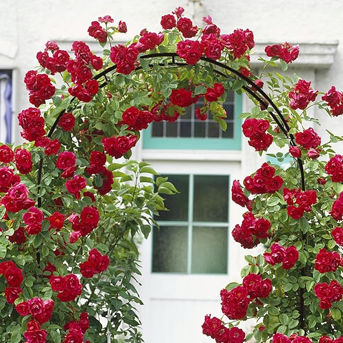 Metal Garden Arch Trellis Outdoor Adjustable Arbor Trellis for Garden Climbing Plants Support or Wedding Decor