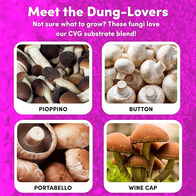 Mycelium CVG Substrate | 2-Pack (10 lbs Each) Pre-Sterilized Bulk Mushroom Substrate with Coco Coir Vermiculite &amp Gypsum | Ideal for Dung-Loving Mushrooms | Ready to Use Organic &amp High-Yield
