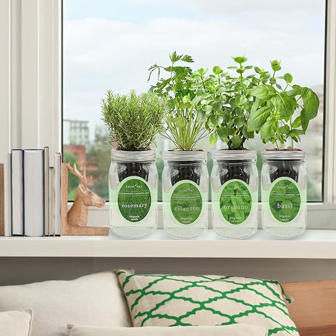 Hydroponic Mason Jar Organic Herb Seed Starter Kits - Mediterranean Herb Mix Growing Kits Windowsill Herb Garden Gardening Gift (Rosemary Cilantro Oregano Basil)