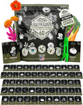Tactiko Survival 60 Medicinal &amp Survival Seed Kit – Heirloom Non-GMO USA Grown Seeds for Vegetables Herbs &amp Edible Flowers – Emergency Food Supply Vault - Mylar Storage - Tools - Planting Gui