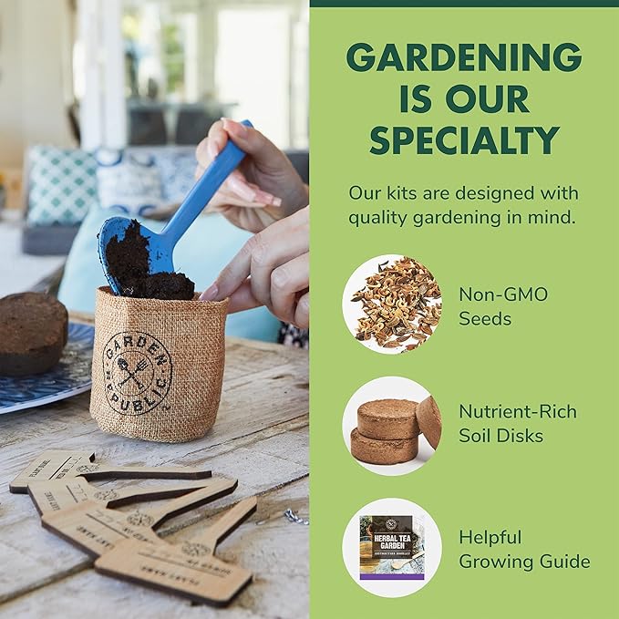 Indoor Herb Garden Seed Starter Kit - Herbal Tea Growing Kits Grow Medicinal Herbs Indoors Seeds for Planting Soil Plant Markers Pots Infuser Planter Box Gardening Gifts for Women