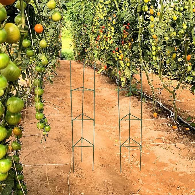 3 Sets Metal Plant Trellis Climbing Supports for Garden and Indoor Potted Plants Tomato Vine Shaping Rack with 27 Rods 27 Connecting Rods and 18 Connectors