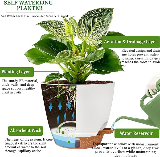 Self Watering Pots for Inoor Ourdoor Plants 10/9/8/7/6.5 Inch Plastic Planters with Drainage Holes &amp Water Level Indicator Decorative House Flower Nursery Planting Pots with Saucers ((White)
