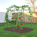 HIRALIY Garden Arch Trellis for Climbing Plants 6.3ft Tall Heavy Duty Metal Cucumber Trellis Rustproof Plant Support Tunnel for Tomato Grape Bean Raised Bed and Vegetable Gardens Green