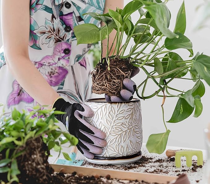 D'vine Dev 6 Inch Embossed Leaves Stoneware Planter Pot with Drainage Hole and Saucer Smoked White Set of 1 27-A-X-1