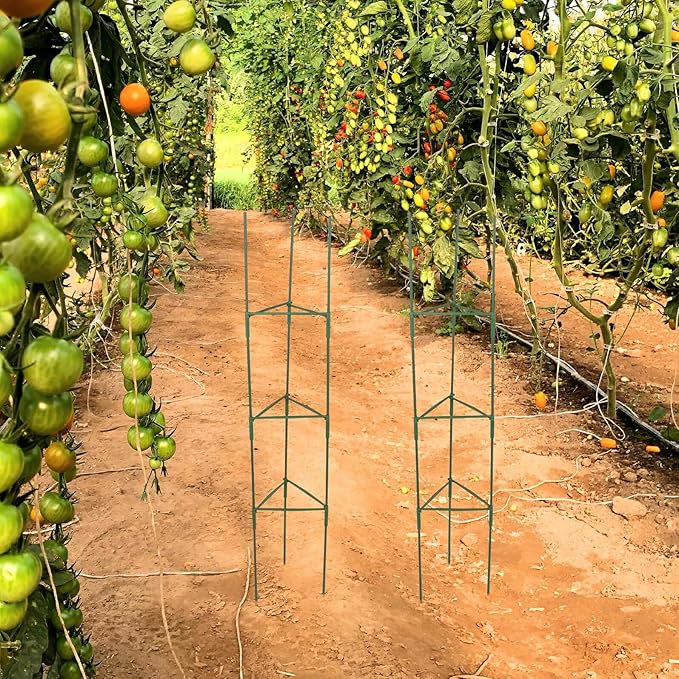 BESPORTBLE 3 Sets Tomato Plant Trellis Climbing Rack with 27 Metal Stakes and 18 Connectors Indoor Outdoor Garden Plant Support for Vines