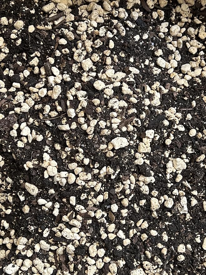 Generic 2.5 Quarts Premium Mixed Acid Loving Plants Azalea Bonsai Soil with Japanese Kanuma Mycorrhizae &amp Oak Leaf Mold - Medium Grain AZAM2.5Q