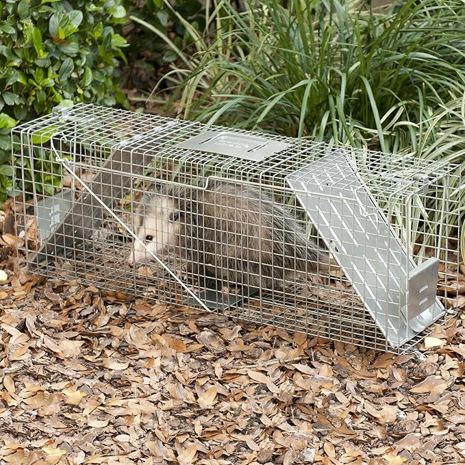 Havahart Large 2 Door Humane Catch and Release Live Animal Trap for Armadillos Beavers Bobcats Small Dogs Cats Foxes Groundhogs Nutria Opossums Raccoons Live Catch Trap for Stray Dogs 1045SR