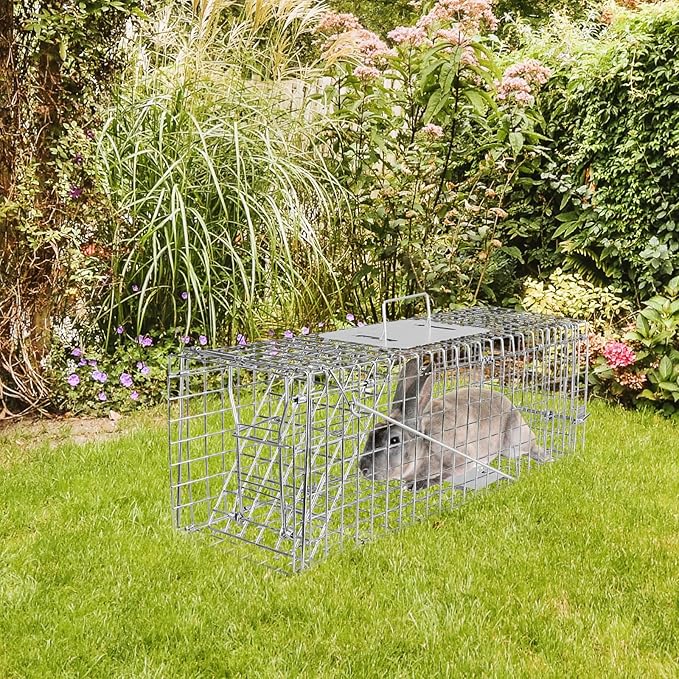 24” Humane Live Animal Trap Cage Heavy Duty Folding Catch and Release Rodent Trap for Squirrels Rabbits Stray Cats Skunks Moles Gophers Groundhogs – Galvanized Rustproof Steel