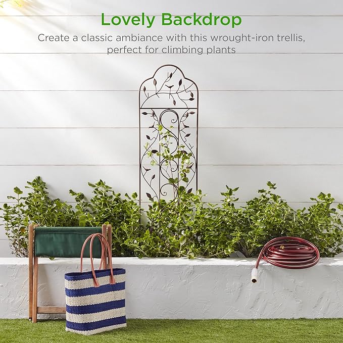Best Choice Products 60x15in Iron Garden Trellis Arched Outdoor Decoration w/Branches Birds for Lawn Garden Backyard Climbing Plants - Bronze