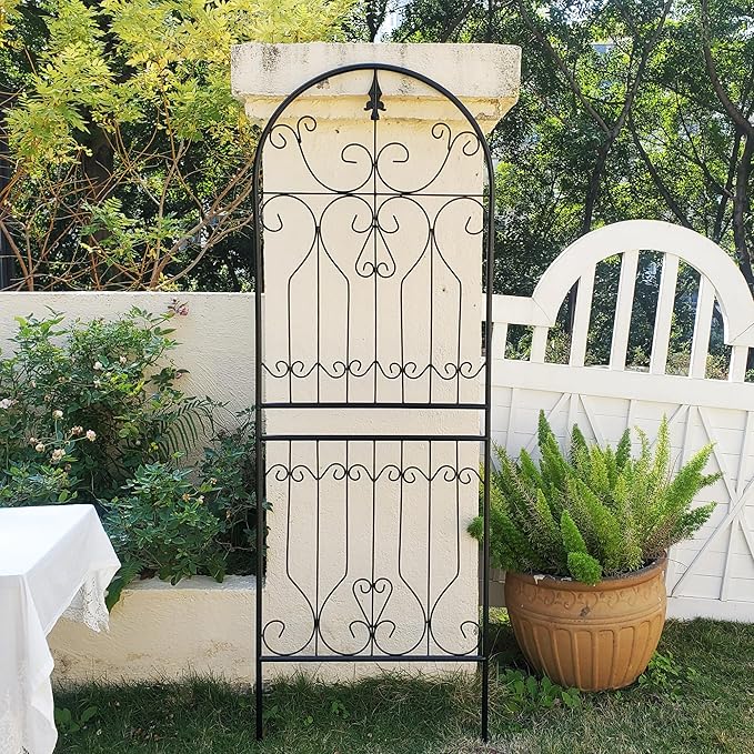 Trellis for Climbing Plants 70.8 H x 24.5 W Metal Premium Quality Material Rust-Resistant Climbing Frame Stylish Garden Addition Outdoor Roses Vine Ivy Clematis Trellises Black 1 Pack