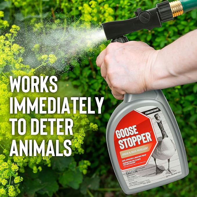 Goose Stopper Liquid Animal Stopper Repellent All Natural Effective All Year Round Safe for People and Pets No Harsh Chemicals Ready to Use Goose Repellent - 2.5 Gallon Concentrate