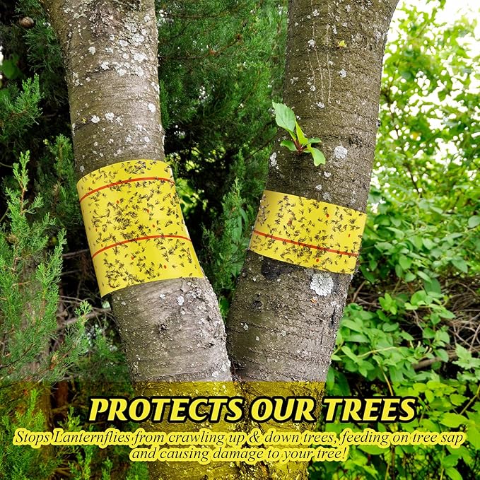 12 Rolls (30 Feet Each) Spotted Lantern Fly Tree Trap Outdoor Fruit Fly Sticky Strips Paper Ant Insect Sticky Barrier Tree Trunk Wraps to Protect Trees Plants Lawn Garden(Yellow and Red)