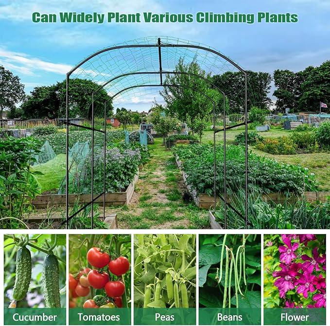 SUNYRISY Garden Arch Trellis Metal Core Trellis for Climbing Plants Outdoor 87 x 71 x 75 Tall Archway Tunnel Plant Support for Vine Cucumber Tomato Grape Vegetables Climbing Plants