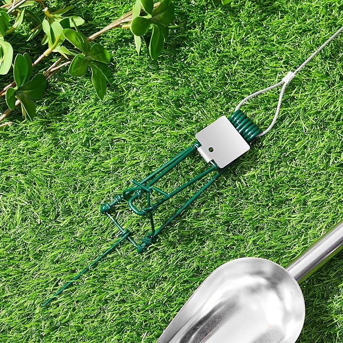 Qualirey 4 Pcs Gopher Trap with Chain Mole Vole Trap Gopher Killer Stainless Steel Weather Resistant for Lawn Garden Farm Outdoor (Green)