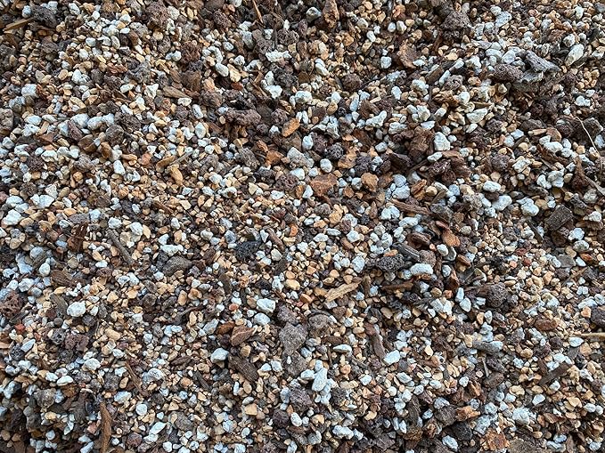 10 Cups Super Blend All Purpose Cactus &amp Succulents Soil Mixed with Coarse Sand Pumice Red Lava and Turface - Medium Grain (2.5Q Cactus M)