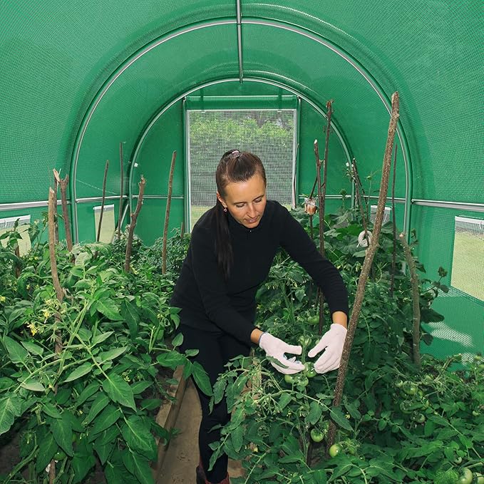 YITAHOME 10x6.5x6.5ft Greenhouses Large Walk-in Green House Heavy Duty Tunnel Green Houses Outdoor Portable Plant Gardening Upgraded Galvanized Steel Frame Zipper Doors 5 Crossbars Garden