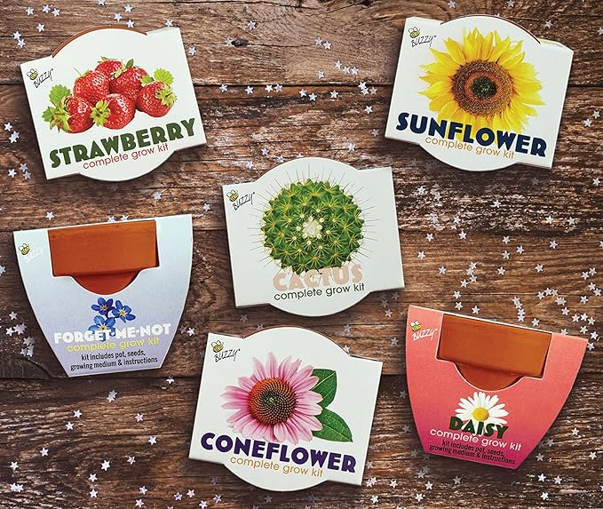 BUZZY Seeds Terracotta Mini Grow Pots 12-Pack – All-in-One Flower Kits with Growing Medium Sunflower Daisy Coneflower Strawberry Forget-Me-Not and Cactus Seeds DIY Plant Starter Collection