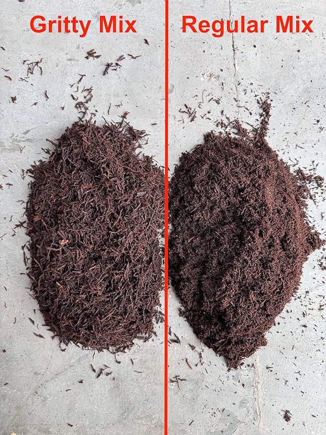 Premium Gritty New Zealand Tree Fern Fiber Growing Medium and Reptile Substrate- Natural Organic Long Lasting | for Orchids and Tropicals | Use in Terrariums and Vivariums (1 Gallon)