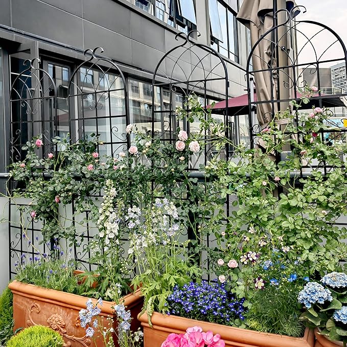 2 Pack Metal Garden Trellis 71 x 19.7 Inches Rustproof Black Plant Support for Climbing Vines Roses Peas Cucumbers Beans Clematis Jasmine and More