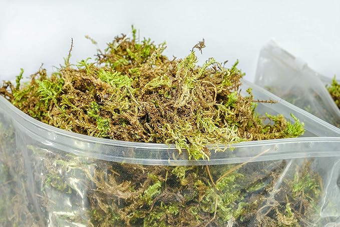 Organic Green Sphagnum Moss for Orchids Indoor and Outdoor Plants - Dried for Decorative Gardening (Medium Pack - 5 litres / 250 gr / 18 oz)