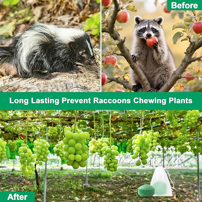 24 Pack Peppermint Skunk Repellent Raccoon Repellent Ball for House Garage Garden Indoor Raccoon Deterrent for Outdoor Keep Skunks and Raccoons Out Natural Ingredients Pet Safe Dark Green