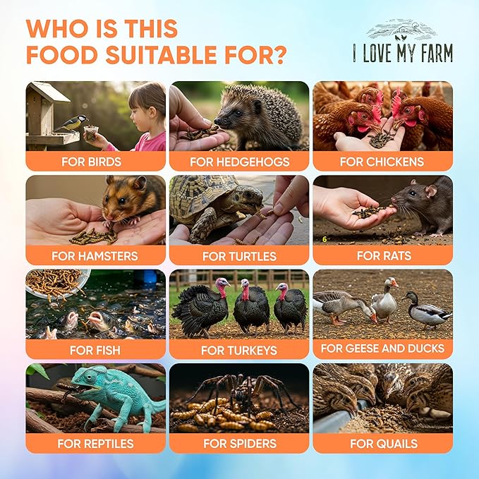 I LOVE MY FARM 10 Lb Dried Black Soldier Fly Larvae More Calcium Than Dried Mealworms High Protein Chicken Feed Poultry Treat BSF Larvae