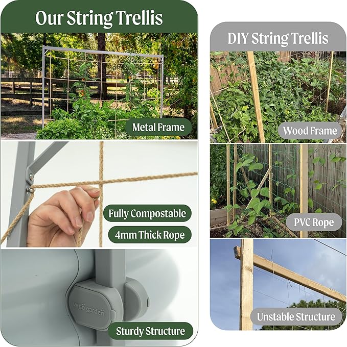 Vego Garden 8.0ft Long Tomato Metal Frame Trellis Garden Trellis for Climbing Plants Like Cucumber Beans Tomatoes &amp Vines (Garden Beds Not Included)