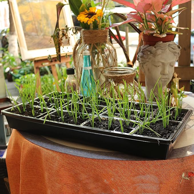 Gardzen 10 Pack Seed Trays Reusable Plant Grow Trays Ideal for Seed Starting Microgreens Indoor Gardening and Greenhouse Plant Nurseries - No Drain Holes 20x10