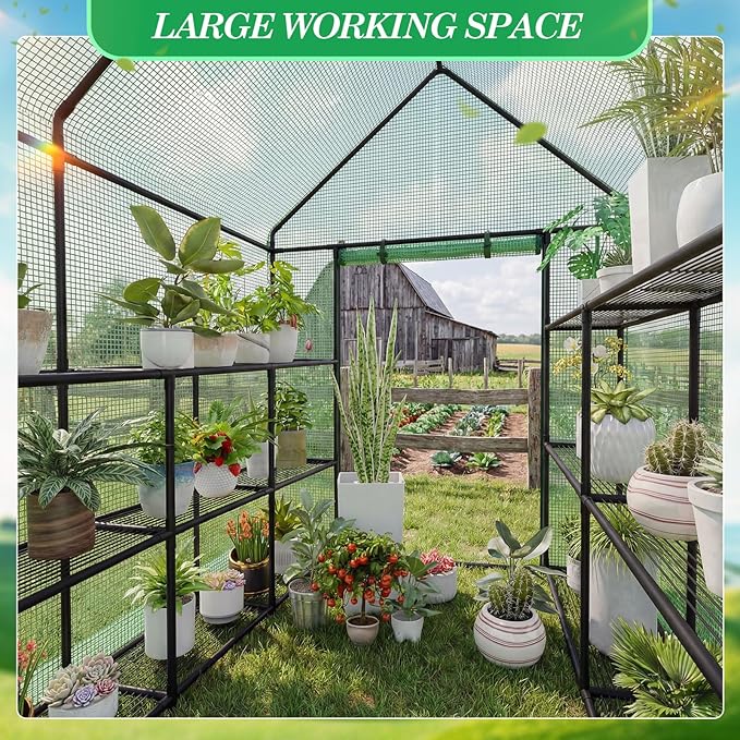 Frienda 2 Pack Walk in Greenhouse Replacement Cover 56 x 56 x 76 PE Gardening Greenhouse Cover with Roll Up Zipper for Outdoor Cold Frost Protection Rain Wind Proof (Frame Not Included) (Green)