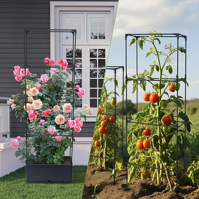 2 Packs Raised Garden Bed Tomato Planter Box with Trellis 55.2 Self-Watering Tomato Cage with Rectangular Trellis for Climbing Plants Flowers Vegetables Vine in Patio Garden Indoor Outdoor