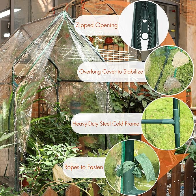 Gardzen Mini Greenhouse Heavy Duty Portable Green House Clear Tent Small Greenhouse for Indoor Outdoor Plants 36.2”(L) x36.2”(W) x59.5”(H)