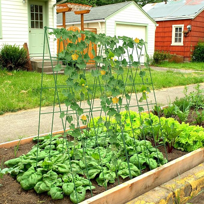 Cucumber Trellis 2 Pack Foldable A-Frame Garden Trellis for Raised Bed Garden Grow Support with Plant Support Clips Twist Ties Plastic Ties for CucumberTomato Climbing Plants and Flowers