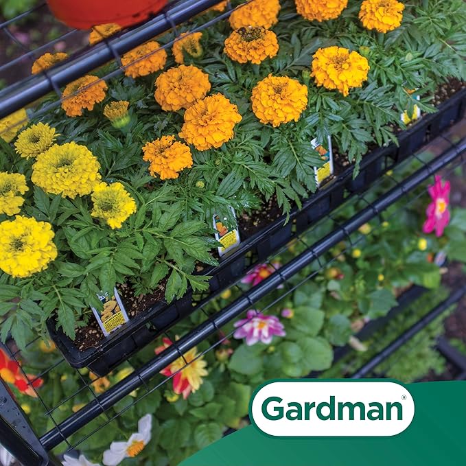 Gardman R687 4-Tier Mini Greenhouse 27 Long x 18 Wide x 63 High Black