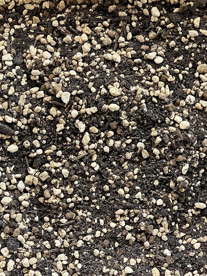 Generic 2.5 Quarts Premium Mixed Acid Loving Plants Azalea Bonsai Soil with Japanese Kanuma Mycorrhizae &amp Oak Leaf Mold - Medium Grain AZAM2.5Q