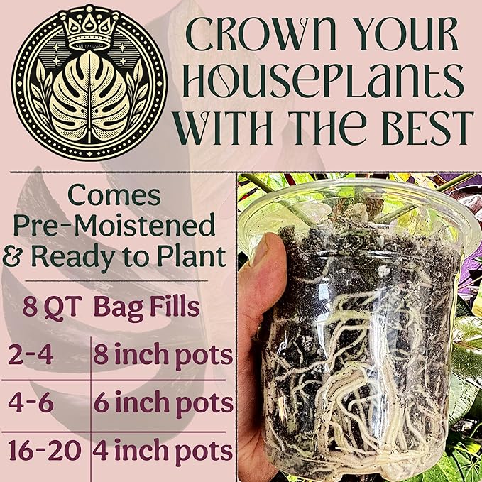 Craft Organic Houseplant Potting Mix Elite House Plant Soil Chunky Well Draining Potting Soil for All Indoor Plants Tropical Plants &amp Flowers Sustainable &amp Peat Free Less Prone to Gnats