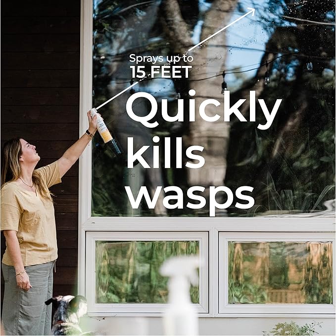 Wondercide - Wasp and Hornet Killer Aerosol Spray with Natural Essential Oils - Kill Wasps Hornetsand Yellow Jackets - for Porch Patio and Outdoor Areas - Pet and Family Safe - 10 oz - 2 Pack