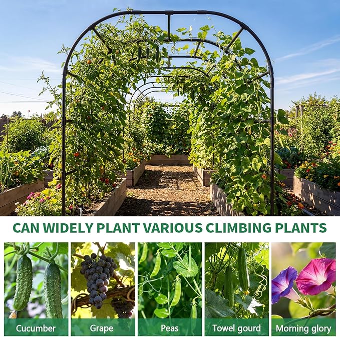 SUNYRISY Garden Arch Trellis for Climbing Plants Outdoor 88 x 88 x 88 Metal Core Tall Archway Tunnel Plant Support for Cucumber Tomato Vine Flowers Vegetables Climbing Plants
