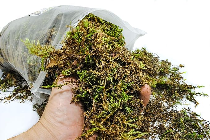 My Happy Snails Organic Green Sphagnum Moss for Orchids Indoor and Outdoor Plants - Dried for Decorative Gardening (Large Pack - 10 litres / 500 gr / 35 oz)