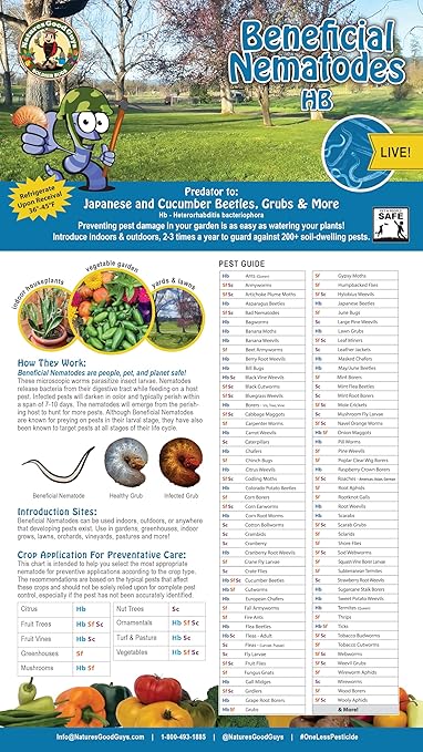 Beneficial Nematodes Heterohabditis bacteriophora HB -10 Million