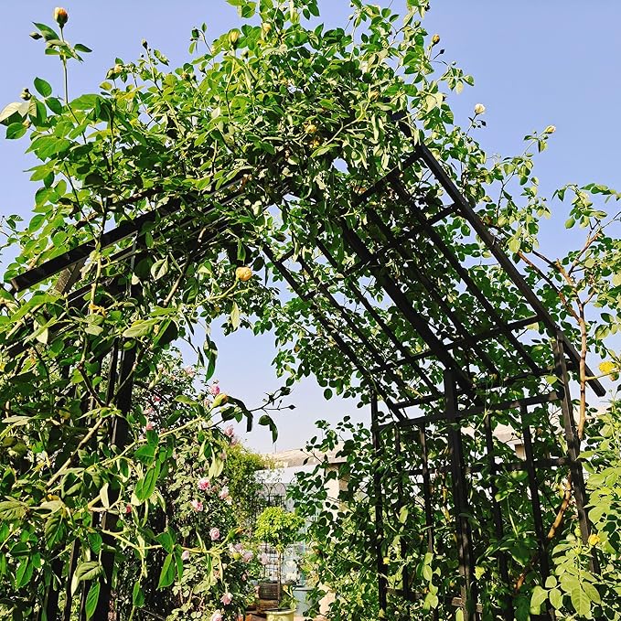 Metal Garden Arch Trellis for Climbing Plants Adjustable Width 68.11 to 94.29 Outdoor Rose Arbor with Flat Top Ceremony Decoration Archway for Wedding Events Lawn Patio Decor