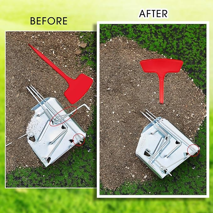 Qualirey 8 Pcs Outdoor Gopher Traps Easy Set Mole Mouse Gophers Vole Trap Bulk Mole Traps Weather Resistant Gopher Killer Killer Galvanized Steel Reusable Animal Trap 8 Markers for Lawn 12 x 5 Inches