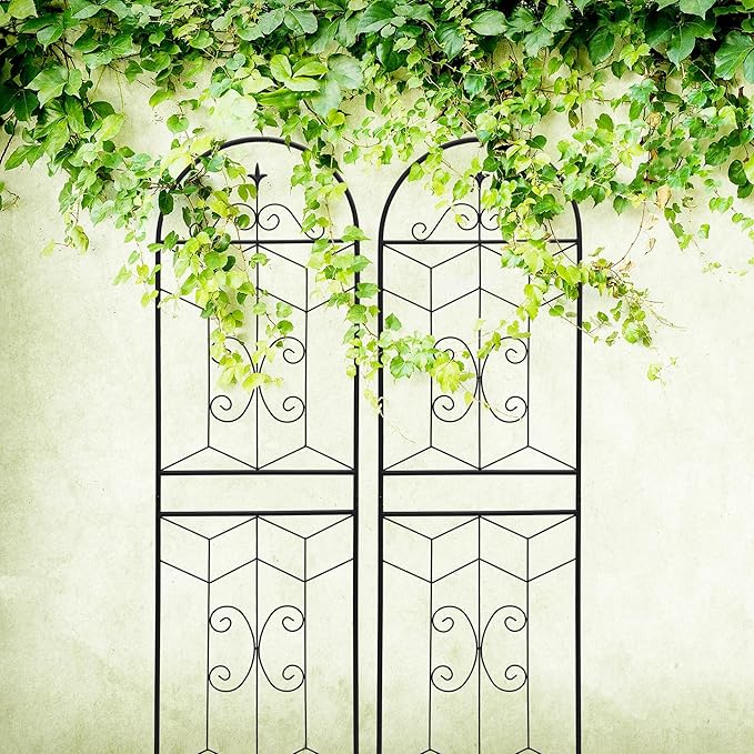 2 Pack Metal Garden Trellis 71 in H x 19.7 in W – Rustproof Powder-Coated Support for Climbing Plants Like Roses Ivy Cucumbers Peas and Beans