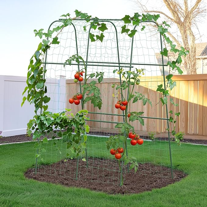 HIRALIY Cucumber Trellis for Climbing Plants Outdoor 5.25ft Tall Heavy Duty Metal Garden Arch Trellis Rustproof Plant Support Tunnel for Tomato Grape Bean Raised Bed and Vegetable Gardens Green