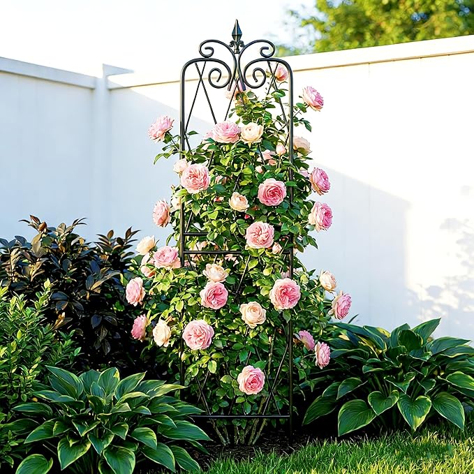 2 Pack 71 H x15 W TrellisBlack Garden Trellis for Climbing Plants Outdoor Metal Frame Sturdy Trellis for Rose