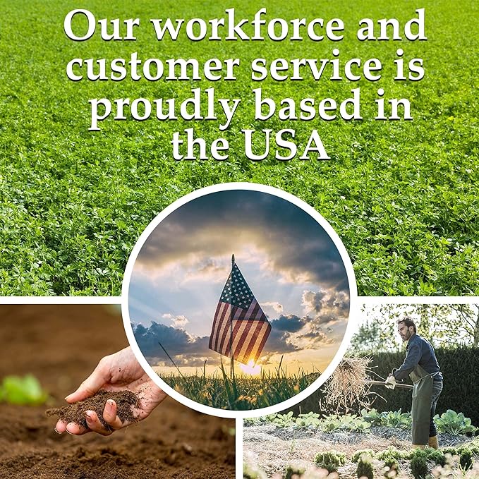 Bug Out Bag Survival Garden Vegetable &amp Herb Seeds - ~12000 Seeds - Collection of 19 Heirloom Seed Varieties for Emergency Seed Vault - Bean Beet Carrot Corn Kale Onion Pepper &amp 12 Mor