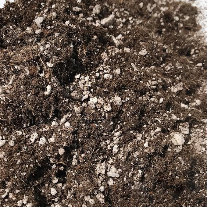 Key Lime Tree Growing Soil Mix – Custom Soil Blend – Potting Mix for Key Lime Trees – Developed by and for Professional Nursery Growers - Nutrient-Rich Formula (3 Quarts)
